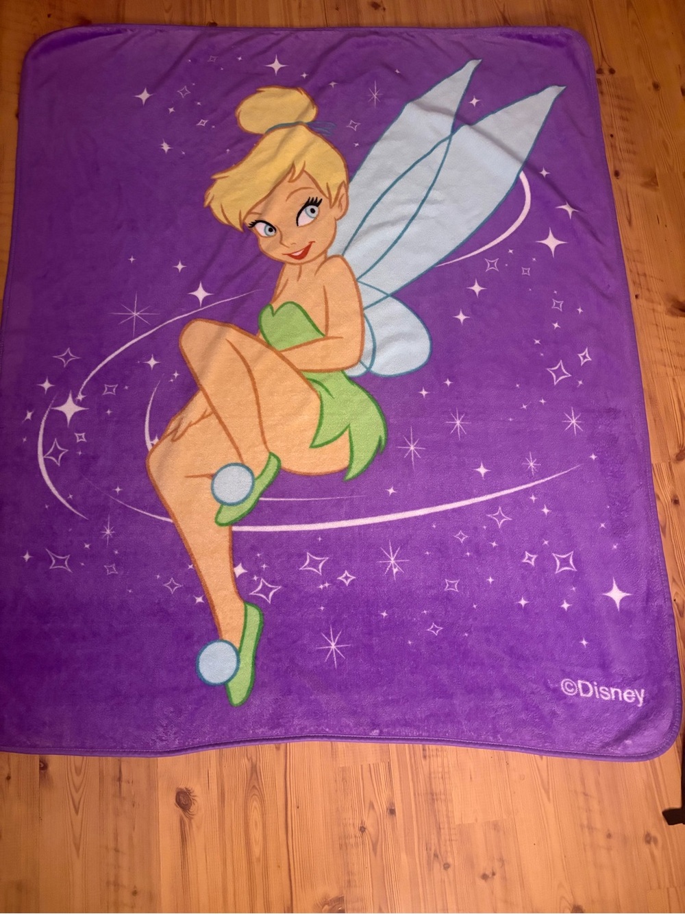2009 Disney Tinker Bell Purple and Green Plush Throw Blanket